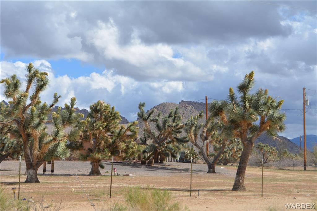 11081 Alvis Road Yucca, AZ 86438 - Photo 13 of 25