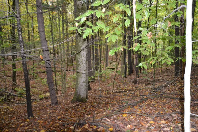 $349,000 | 66 Webster Road, Hartland, VT 05048