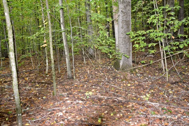 $349,000 | 66 Webster Road, Hartland, VT 05048