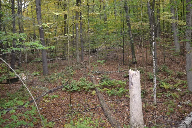 $349,000 | 66 Webster Road, Hartland, VT 05048