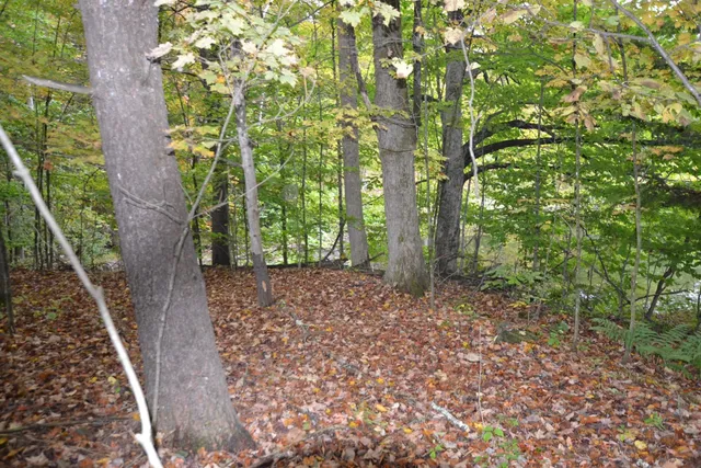 $349,000 | 66 Webster Road, Hartland, VT 05048