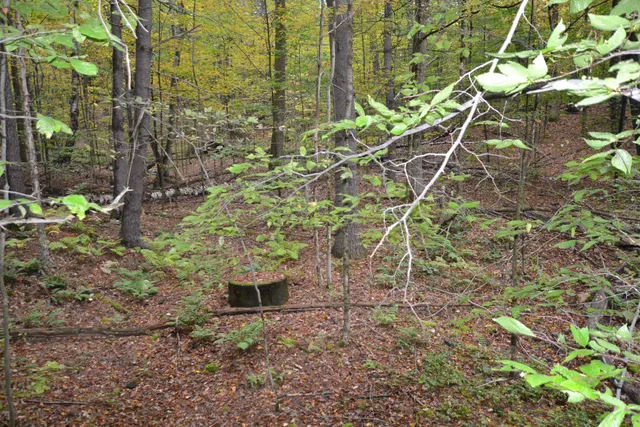 $349,000 | 66 Webster Road, Hartland, VT 05048