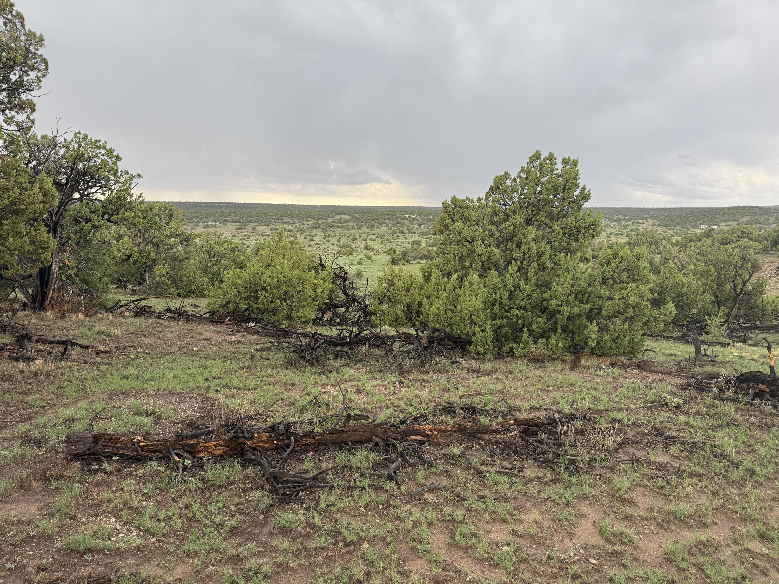 Lot 78 Big Chief Road Quemado, NM 87829 - Photo 8 of 18 Gallery Image 8
