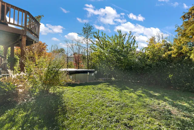 a view of a lake in between two of trees