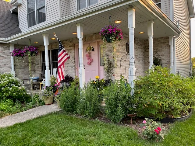 a view of a potted flower in front of a house