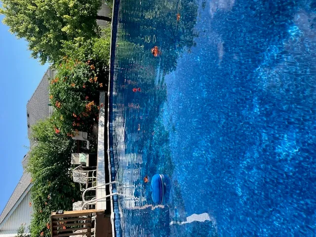 a view of a backyard