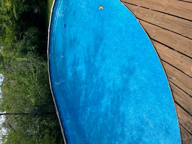 a view of a backyard with garden