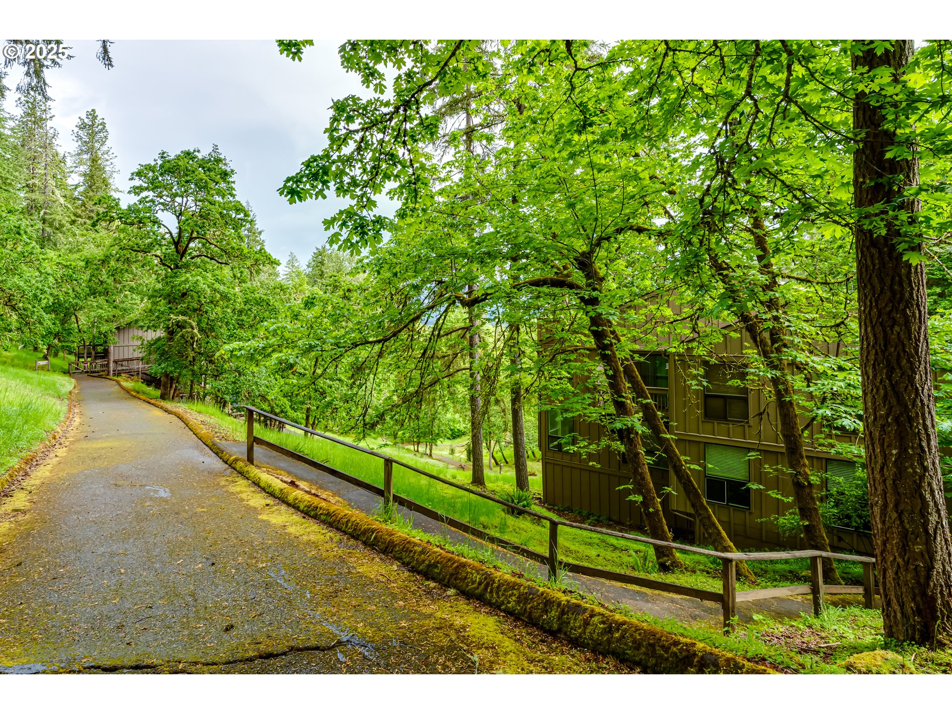 418 Stonewood Drive Eugene, OR 97405 - Photo 26 of 36 a view of a yard with potted plants