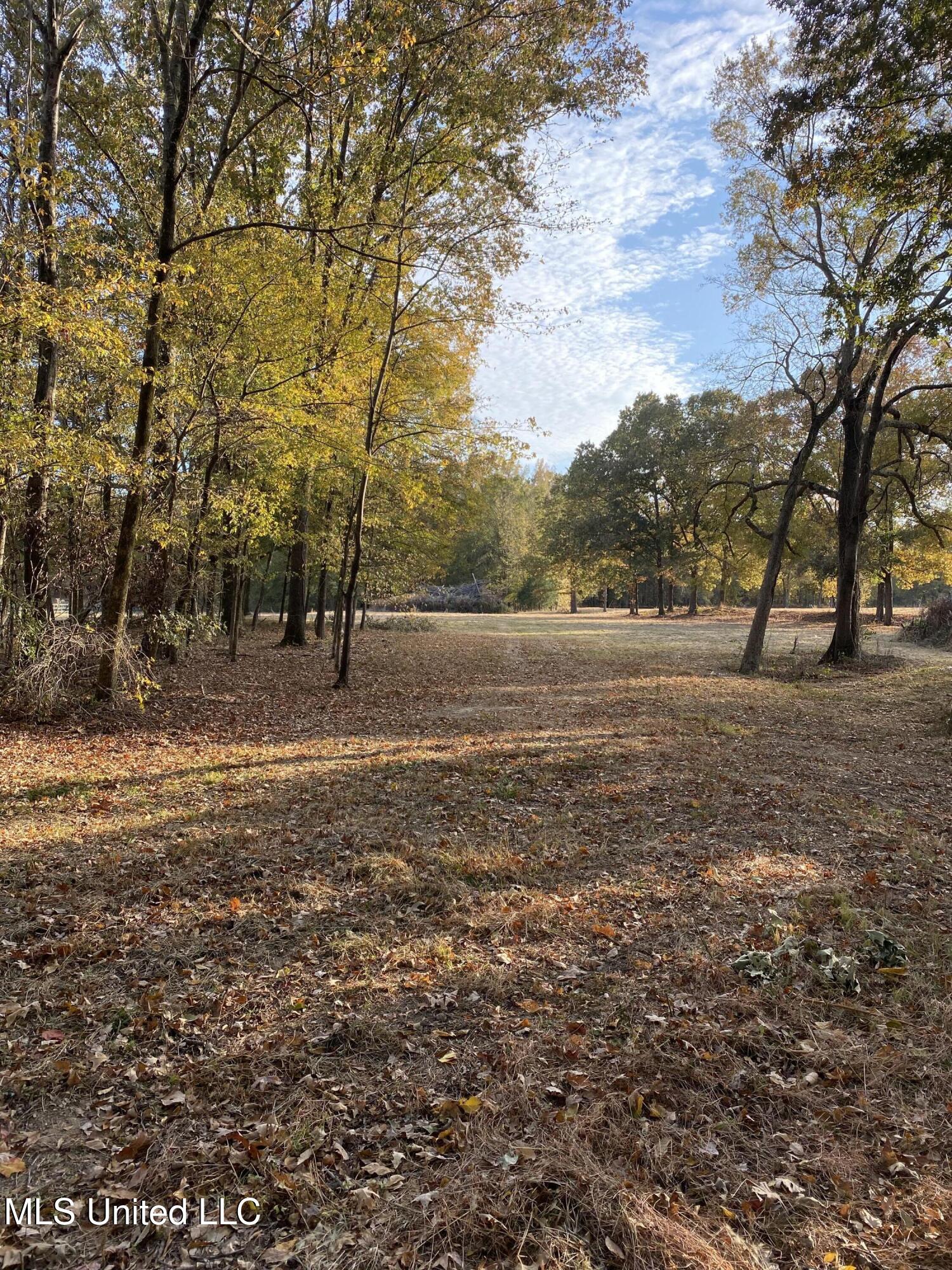 0 Bright Road Hernando, MS 38632 - Photo 4 of 5 pic 2