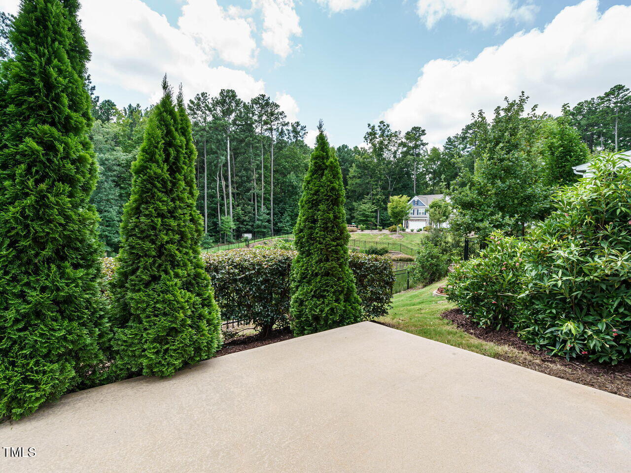 6333 Grace Lily Drive Raleigh, NC 27607 - Photo 23 of 26 a view of a green yard with large trees