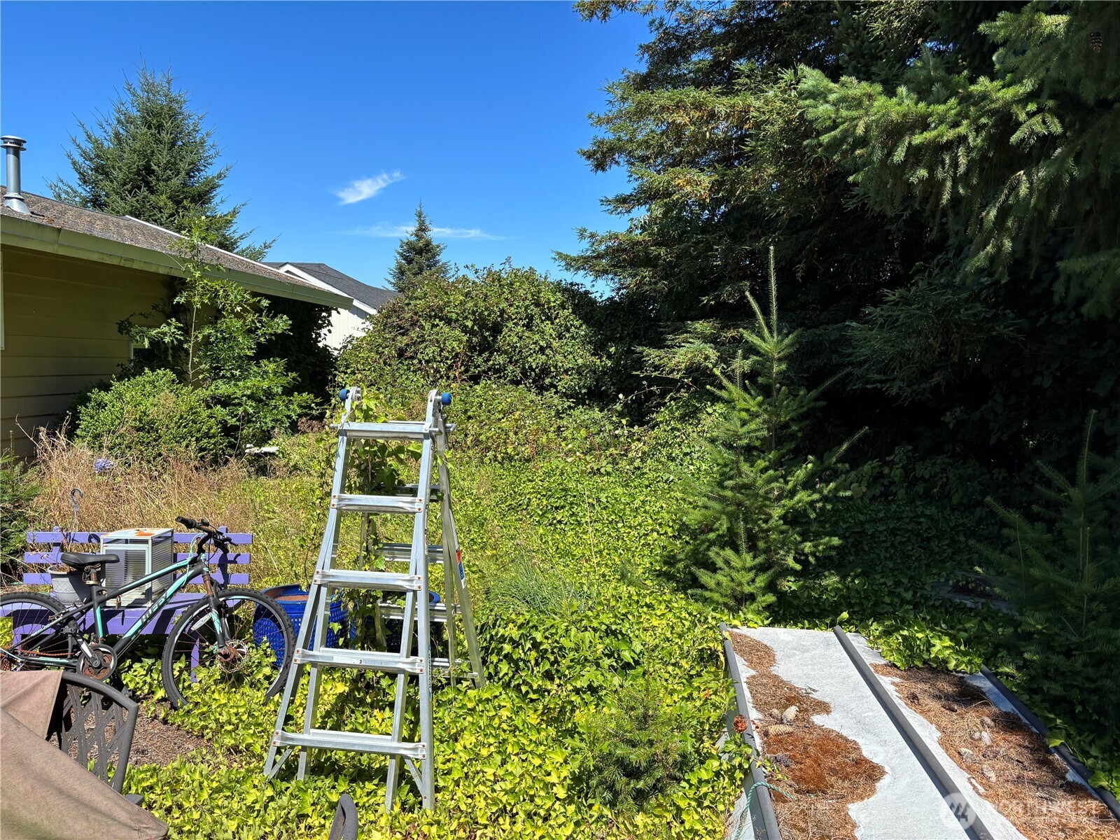 8554 Bender Road Lynden, WA 98264 - Photo 12 of 15 Gallery Image 12