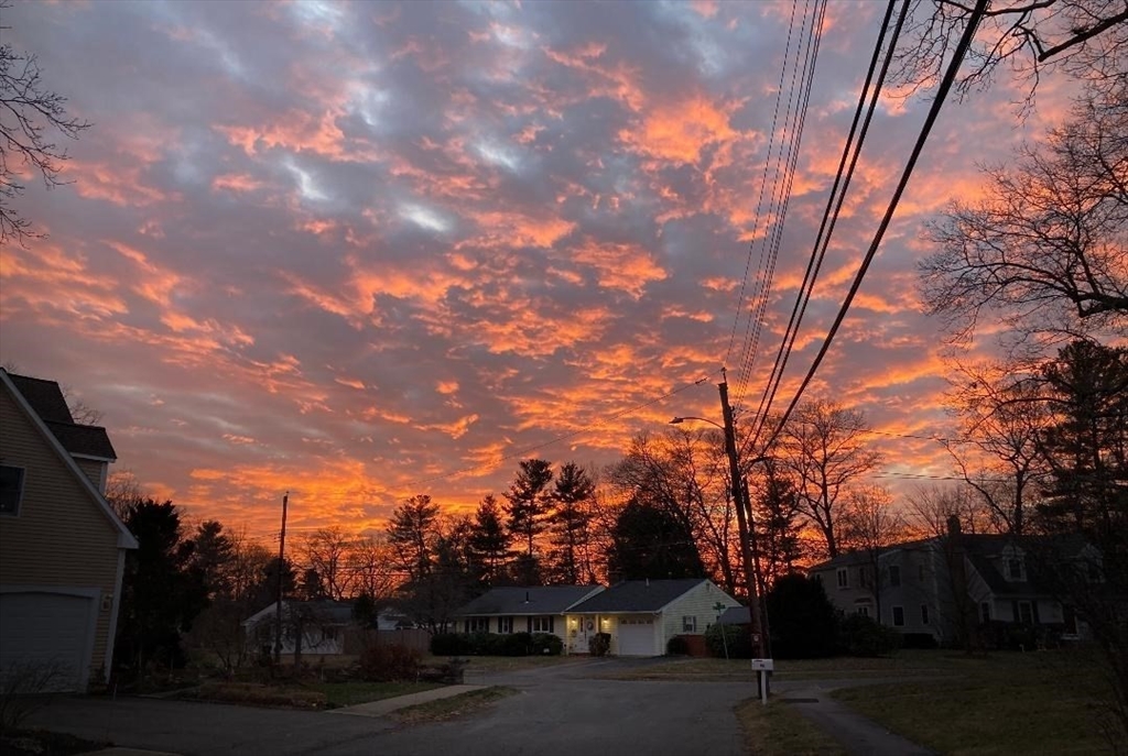 16 Arlington Road Natick, MA 01760 - Photo 27 of 34 a view of a yard