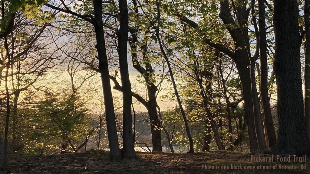 16 Arlington Road Natick, MA 01760 - Photo 28 of 34 a view of a yard with trees