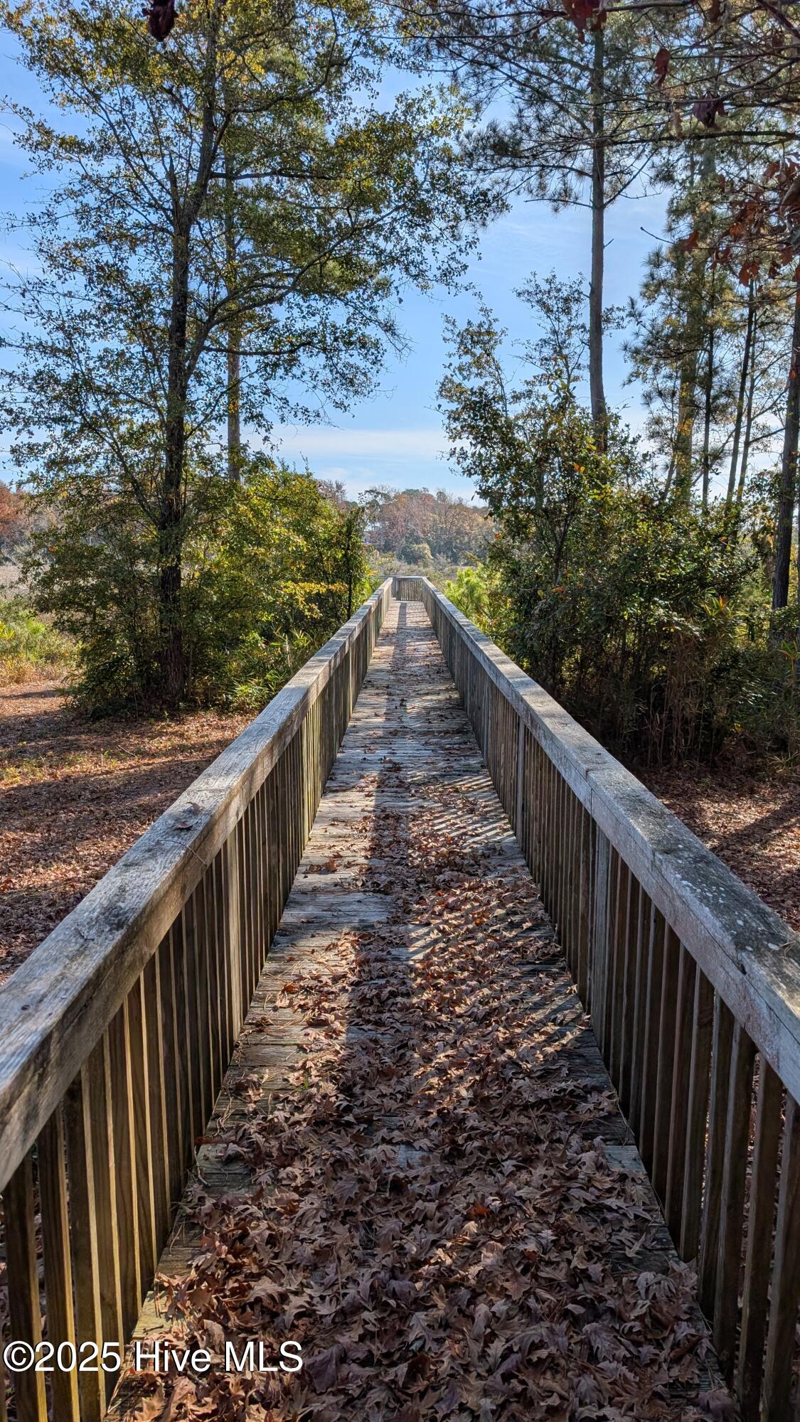 314 Livingston Court Holly Ridge, NC 28445 - Photo 9 of 10 Observation Deck Pier
