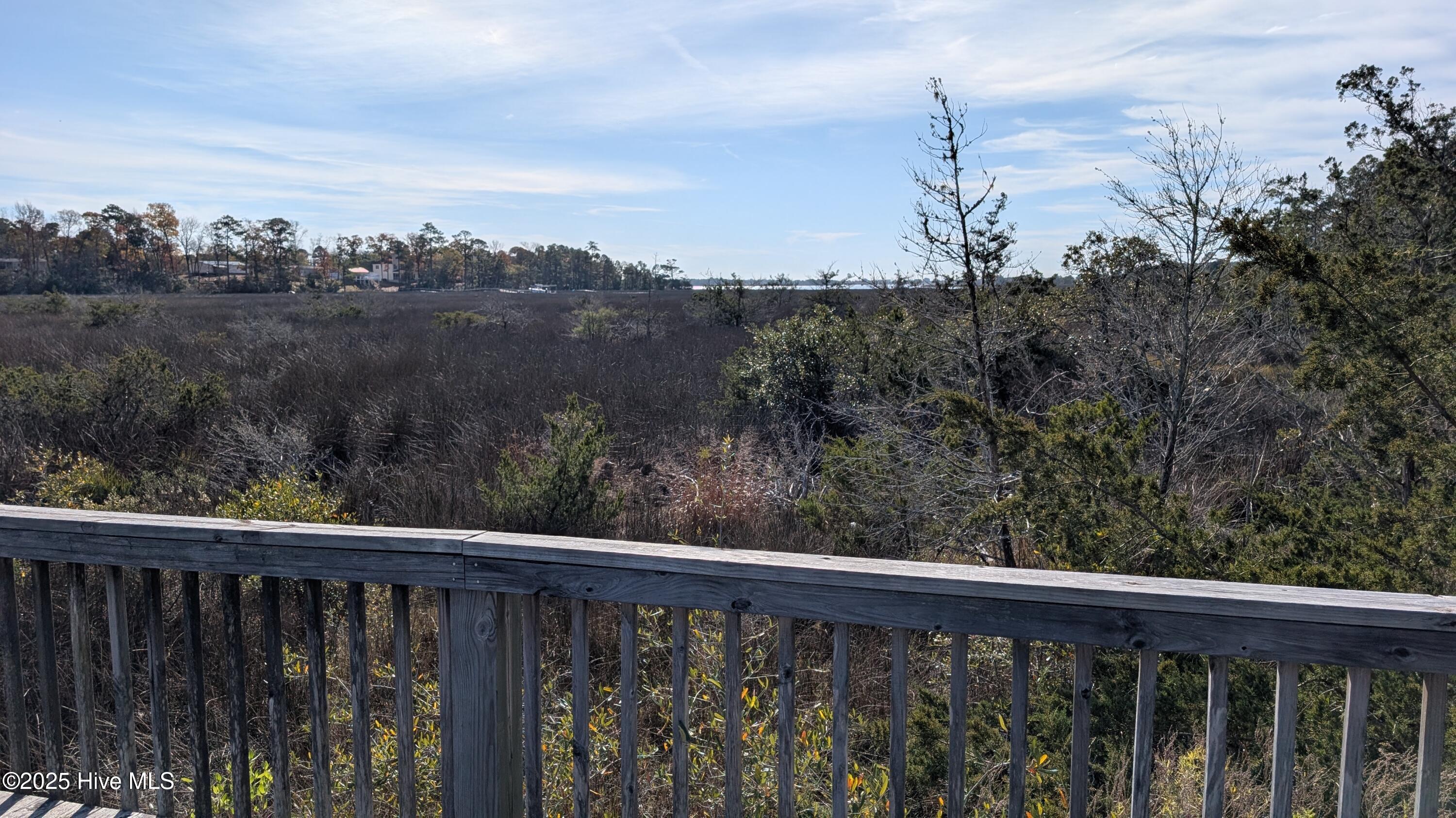 314 Livingston Court Holly Ridge, NC 28445 - Photo 10 of 10 Observation Deck View