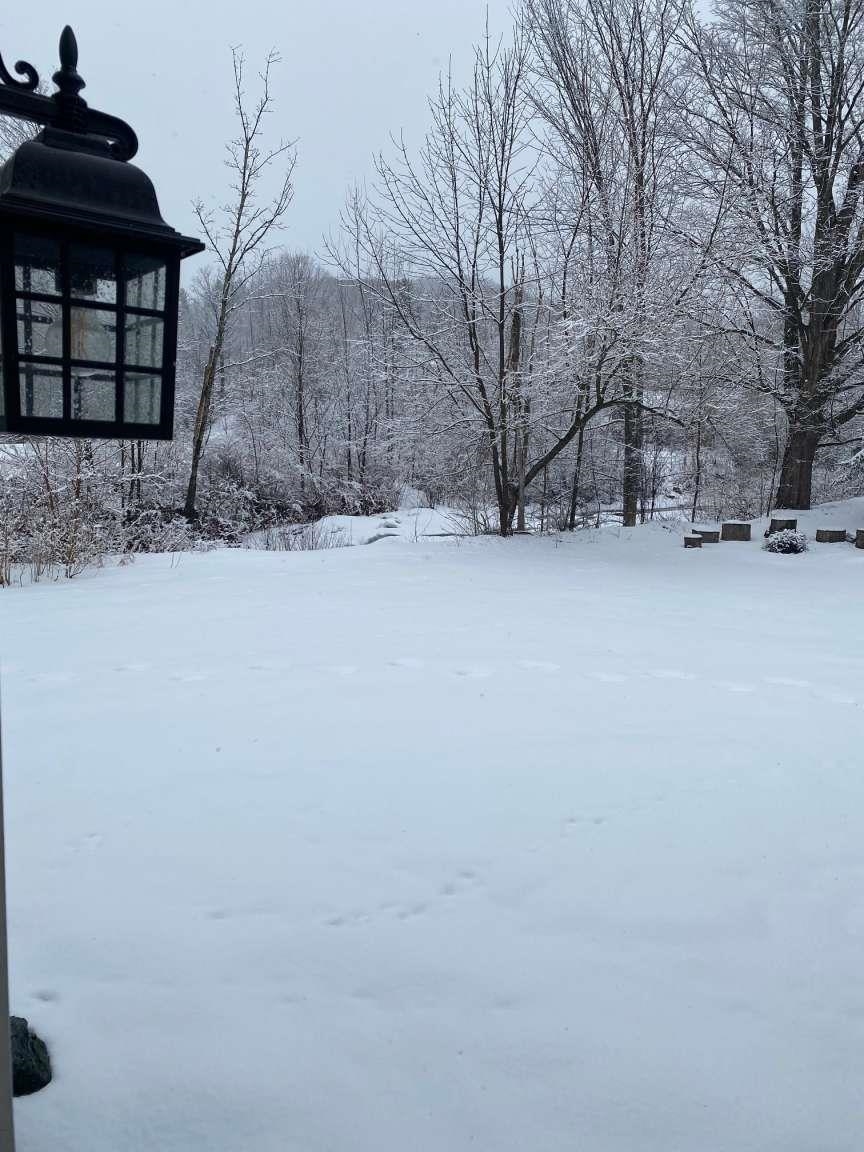 50 Deuso Road Montgomery, VT 05476 - Photo 32 of 40 Gallery Image 32