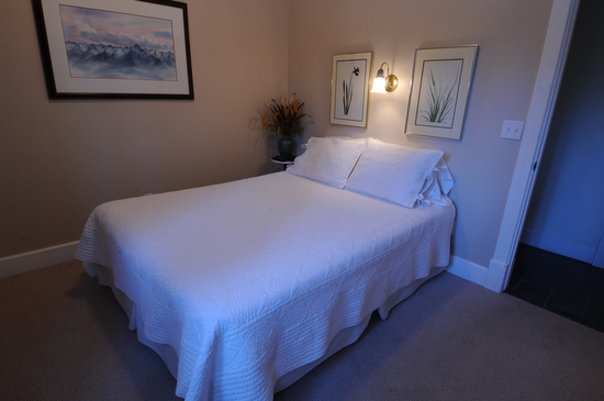 694 Fox Farm Road Telluride, CO 81435 - Photo 13 of 21 Lower Bedroom 3
