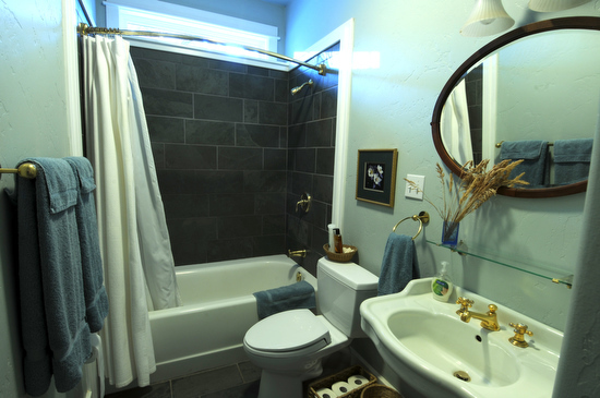 694 Fox Farm Road Telluride, CO 81435 - Photo 14 of 21 Lower Bathroom 1