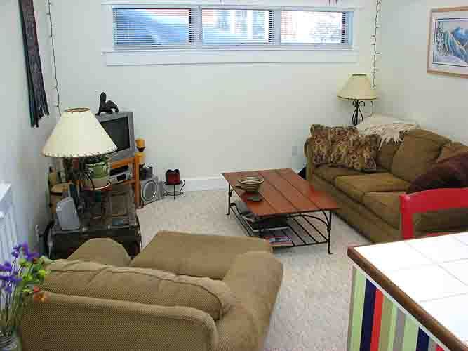 694 Fox Farm Road Telluride, CO 81435 - Photo 18 of 21 apartment family room