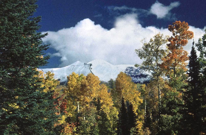 694 Fox Farm Road Telluride, CO 81435 - Photo 21 of 21 fall view