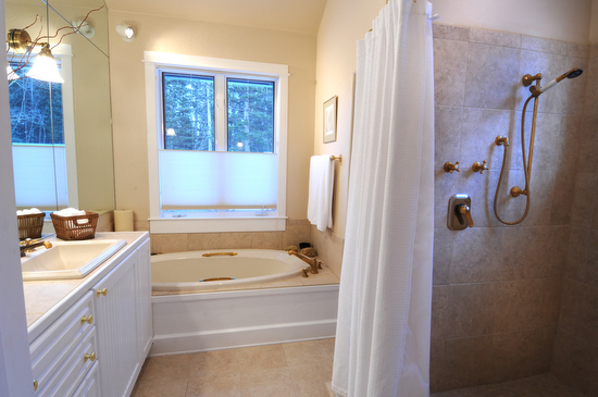 694 Fox Farm Road Telluride, CO 81435 - Photo 9 of 21 Master Bathroom