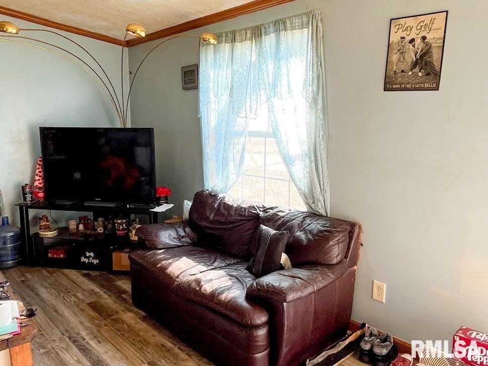 206 Bowery Street Table Grove, IL 61482 - Photo 4 of 9