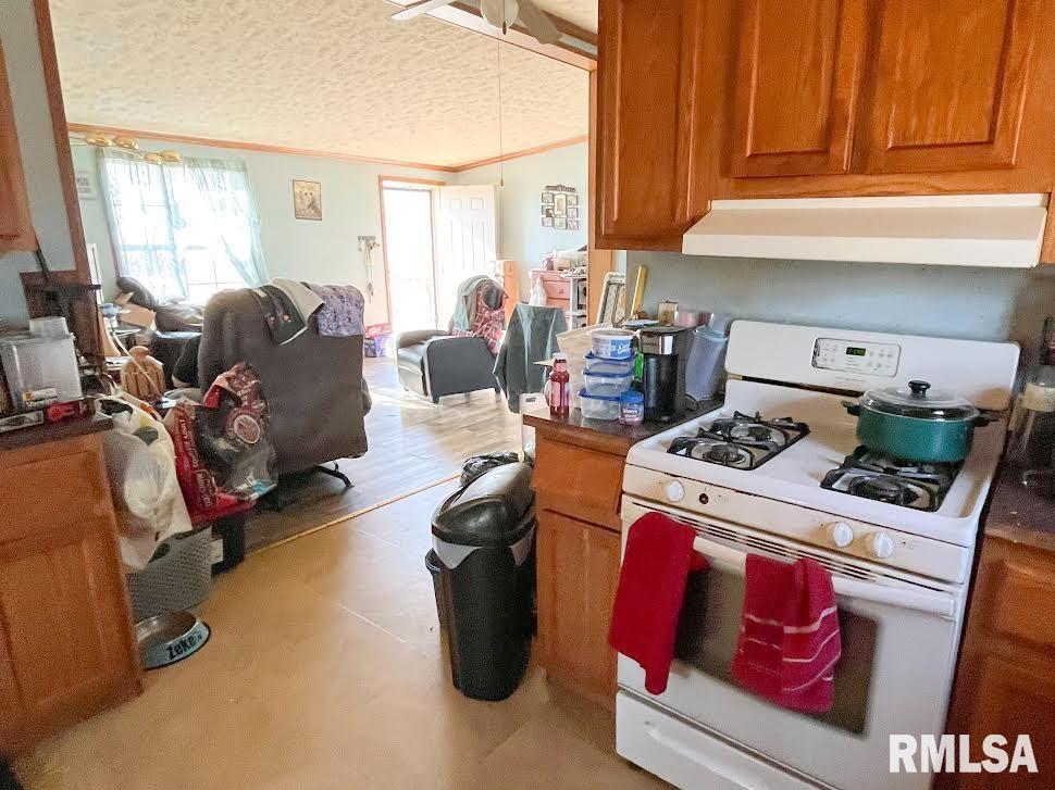 206 Bowery Street Table Grove, IL 61482 - Photo 5 of 9