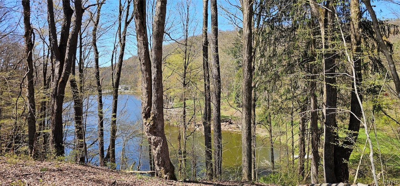 1720 County Route 12 De Ruyter, NY 13052 - Photo 28 of 49