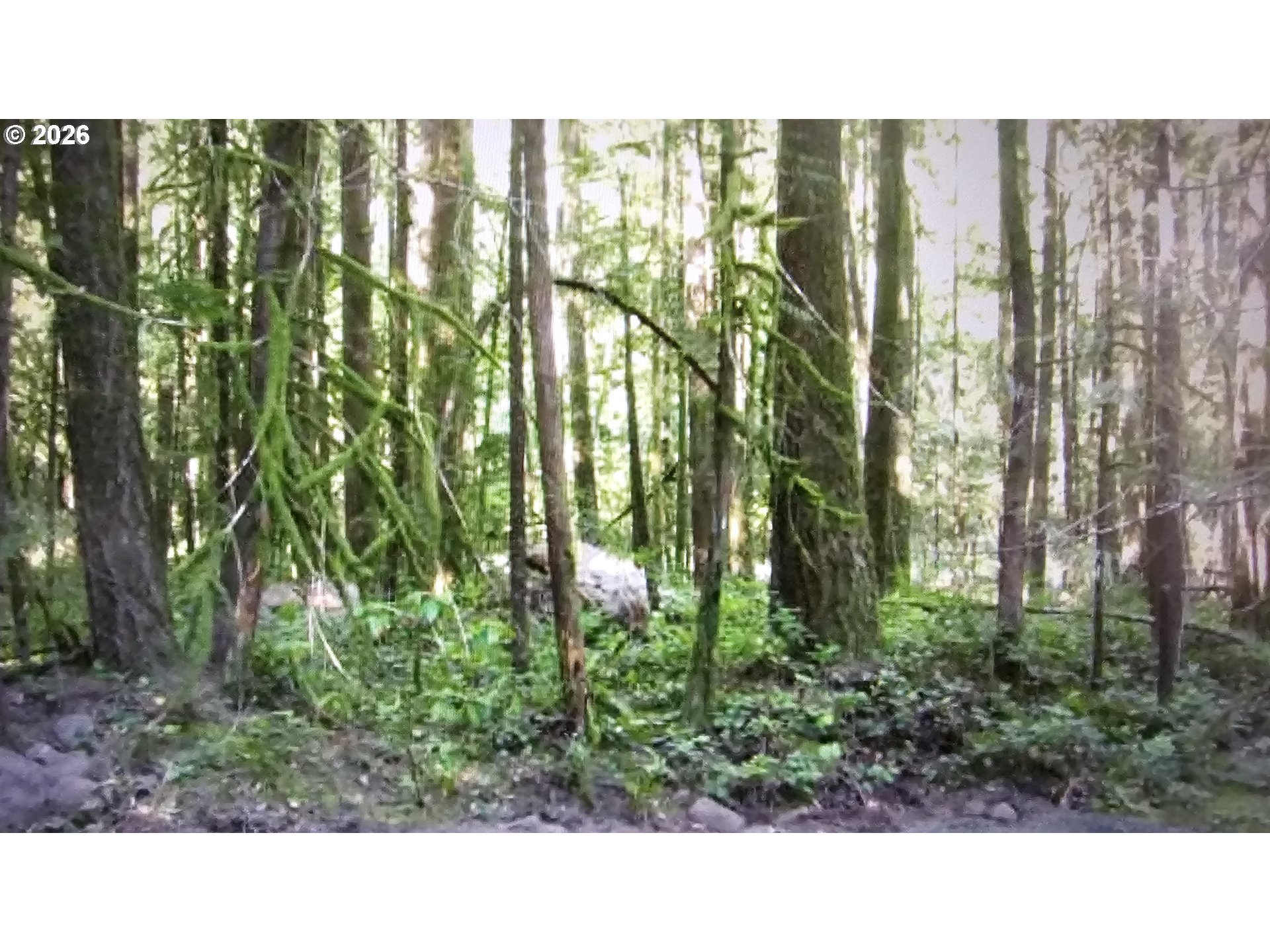 East John Lake Road Rhododendron, OR 97049 - Photo 6 of 7