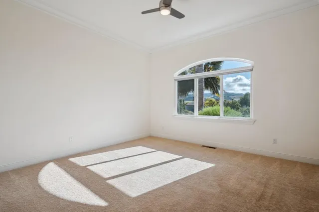 an aerial view of residential houses with outdoor space and river