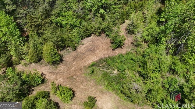 0 Moore Road Elberton, GA 30635 - Photo 28 of 67