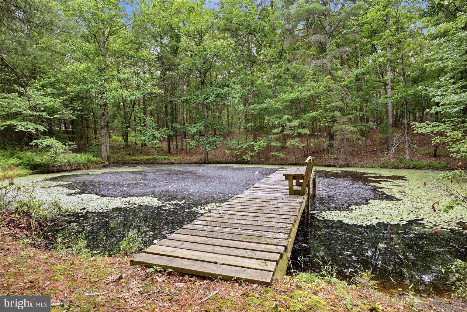 14636 Turner Road Fulks Run, VA 22830 - Photo 68 of 87 Tranquil dock by a serene pond.