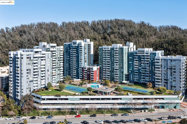 $388,000 | 555 Pierce Street, Unit 203, Albany, CA 94706