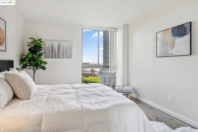 $388,000 | 555 Pierce Street, Unit 203, Albany, CA 94706