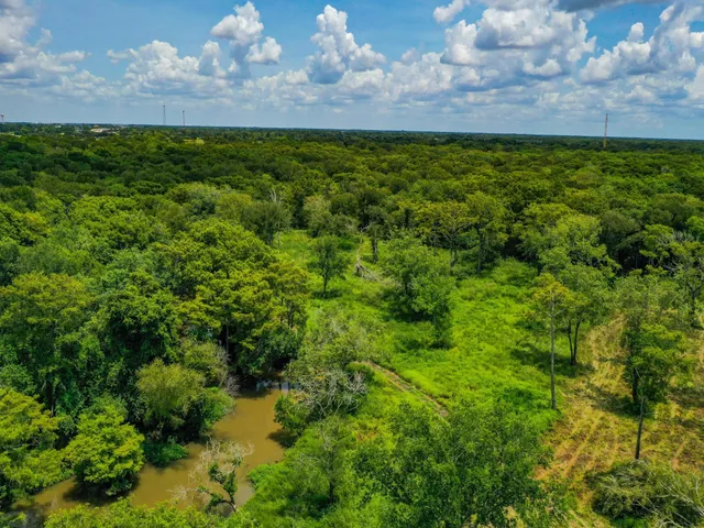 a view of a yard in a field