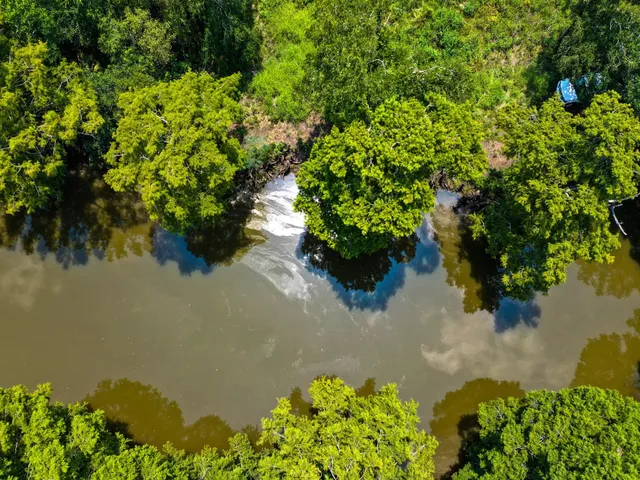 a view of a golf course with a lake