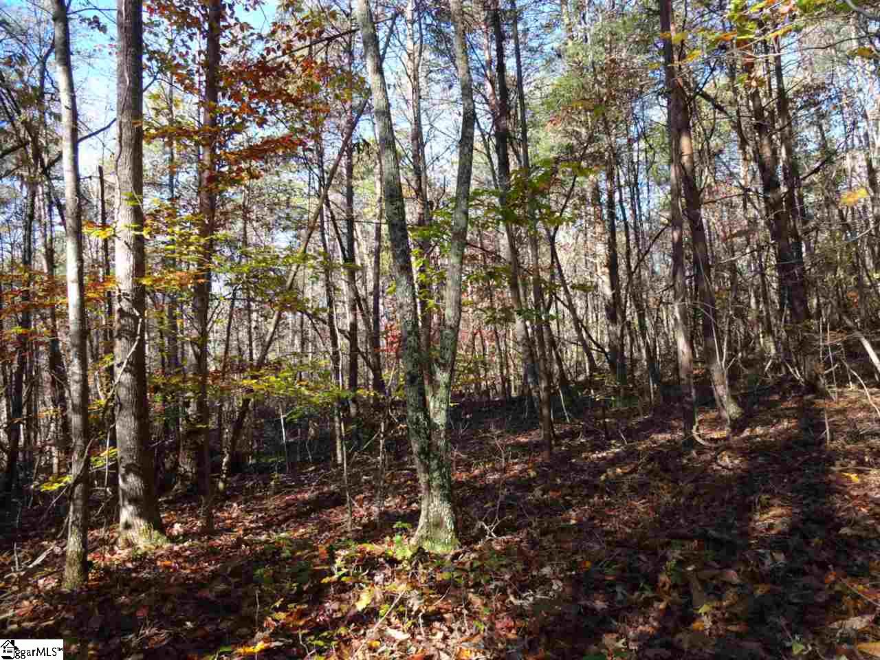 Woodall Mountain Road Pickens, SC 29671 - Photo 14 of 25