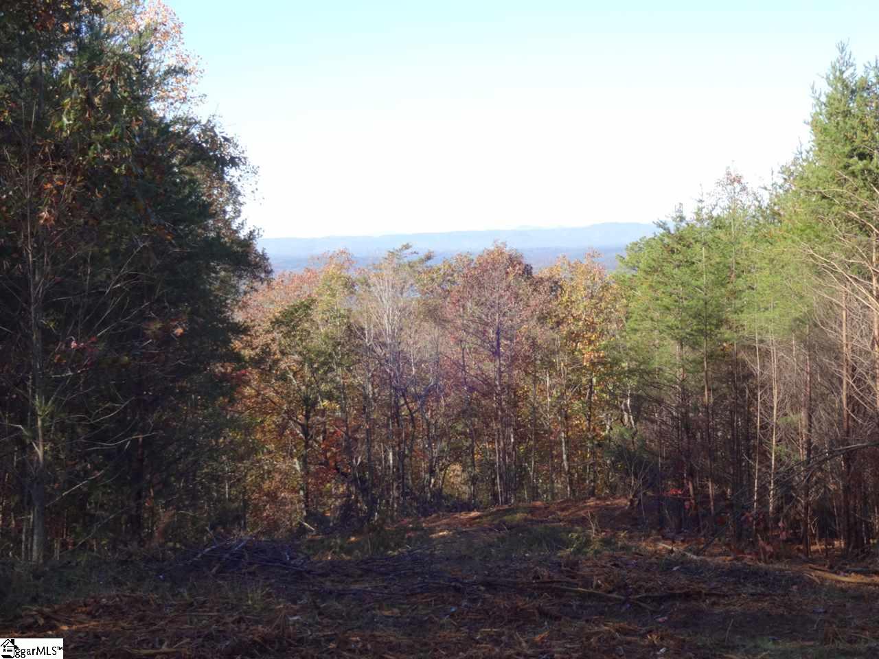 Woodall Mountain Road Pickens, SC 29671 - Photo 3 of 25