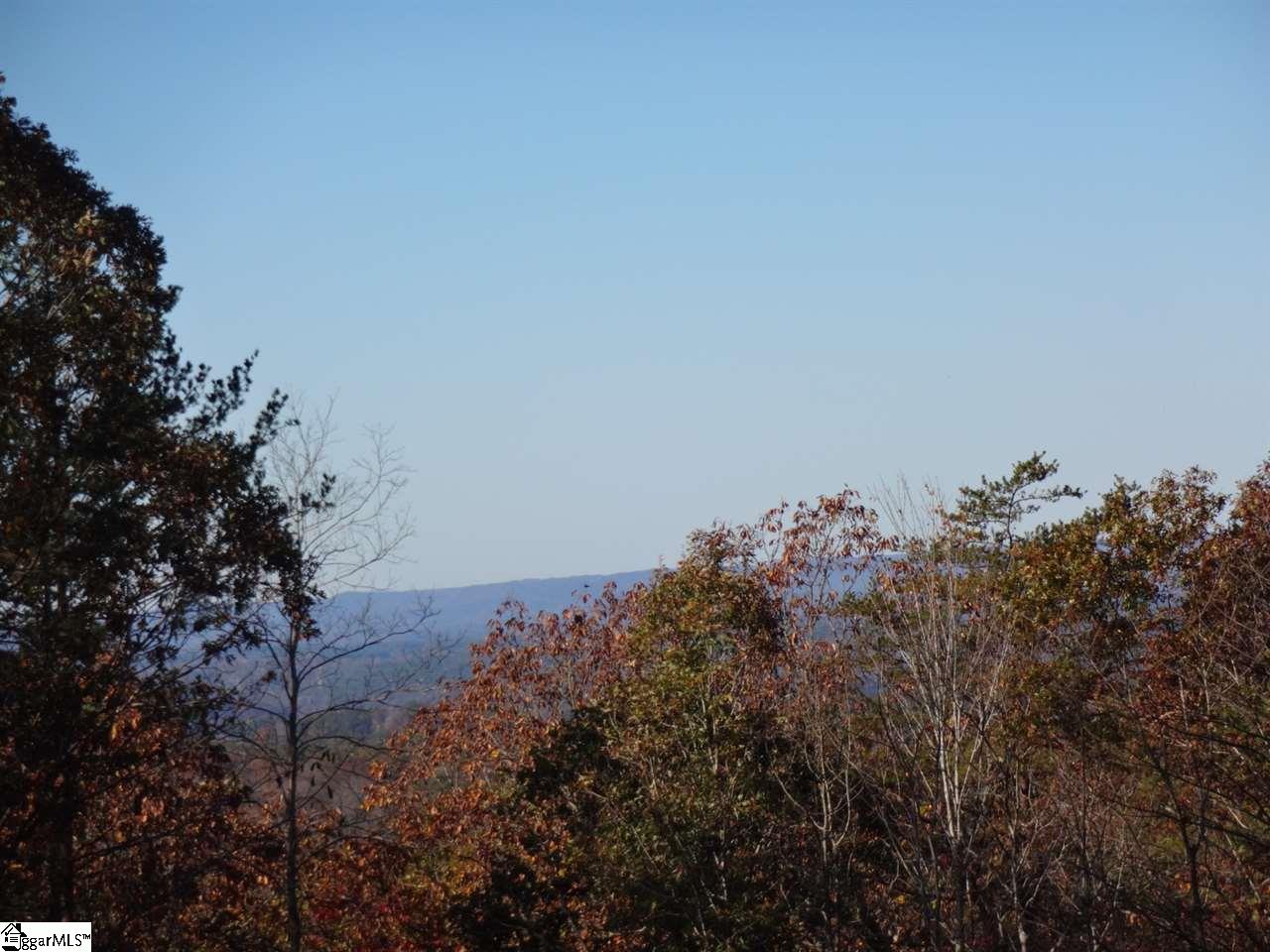 Woodall Mountain Road Pickens, SC 29671 - Photo 5 of 25