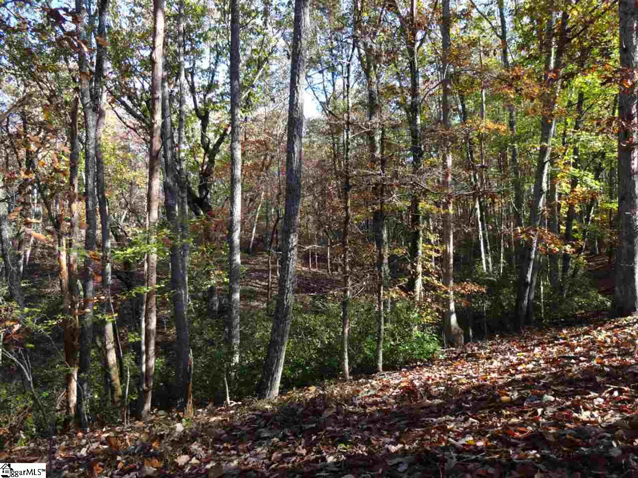Woodall Mountain Road Pickens, SC 29671 - Photo 6 of 25