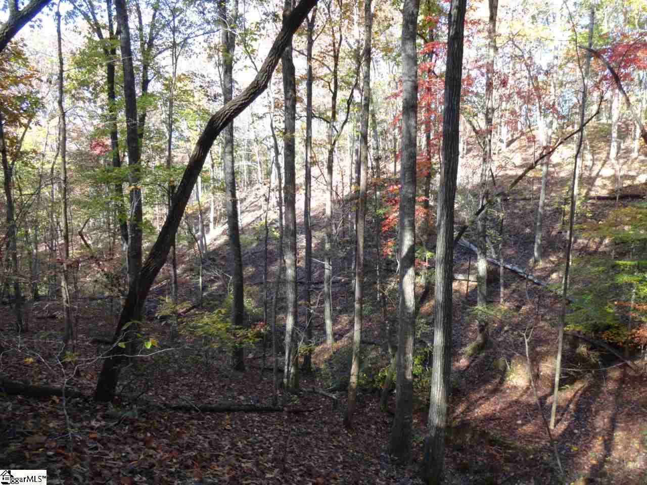 Woodall Mountain Road Pickens, SC 29671 - Photo 7 of 25