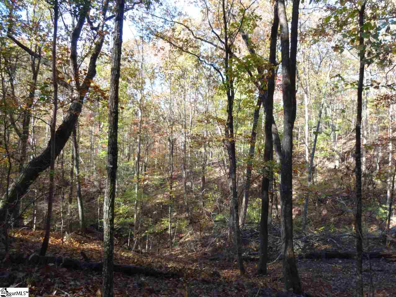 Woodall Mountain Road Pickens, SC 29671 - Photo 8 of 25
