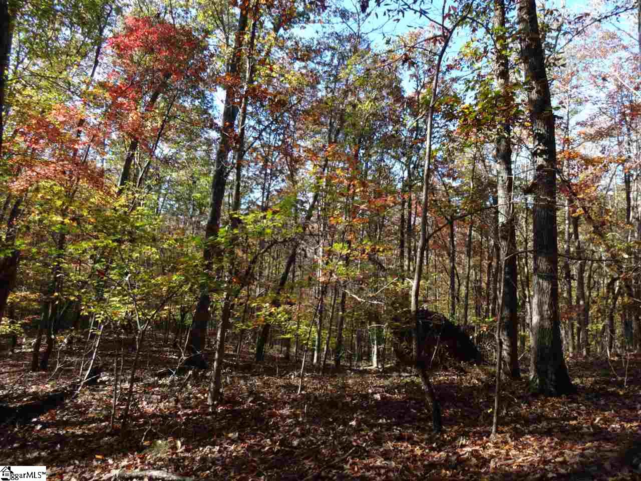 Woodall Mountain Road Pickens, SC 29671 - Photo 9 of 25