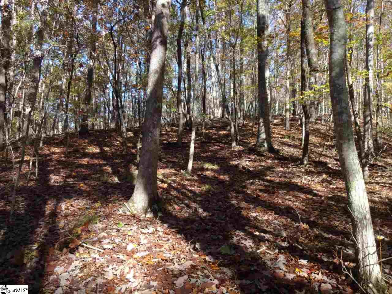 Woodall Mountain Road Pickens, SC 29671 - Photo 10 of 25