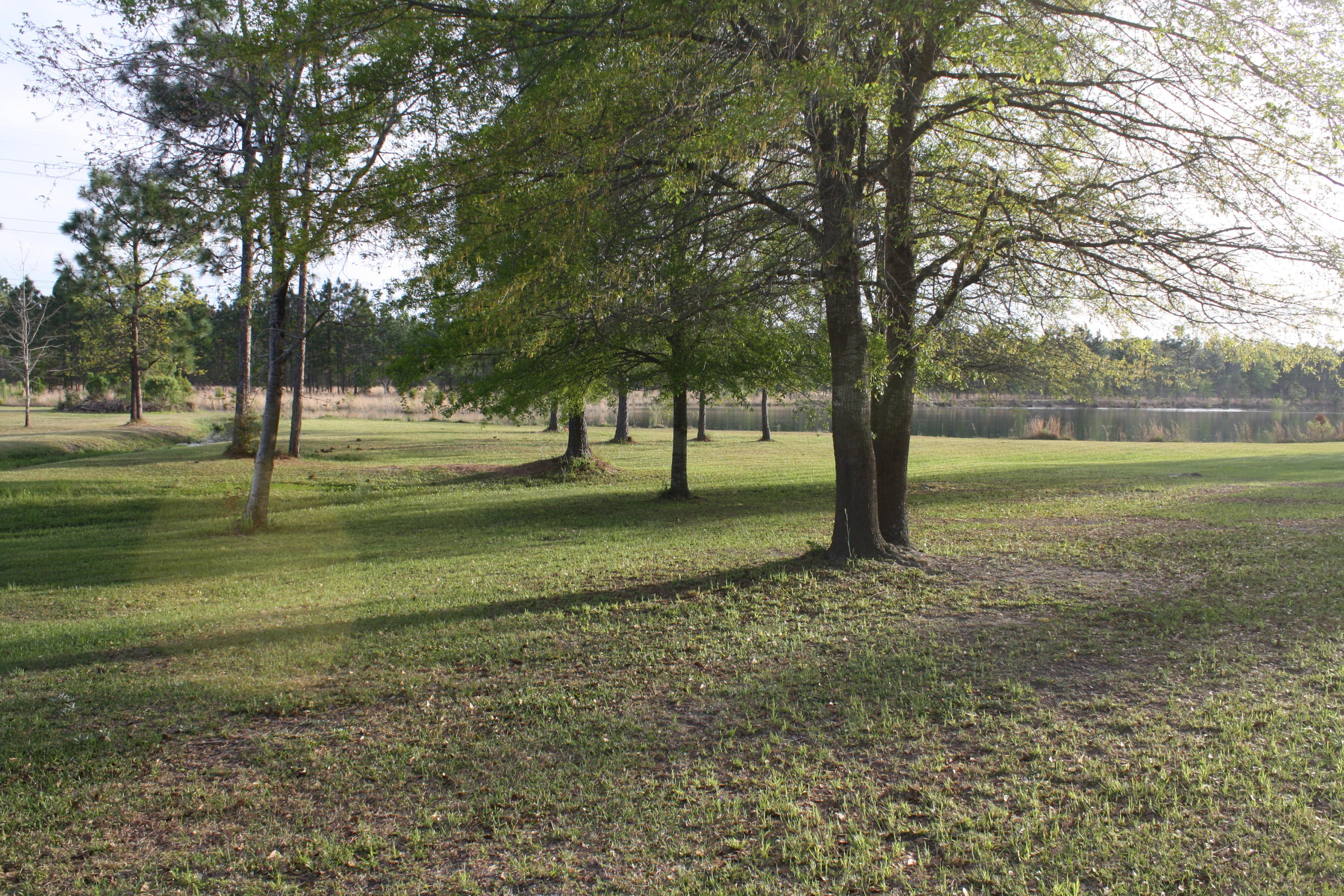 413 Collins Road Cross, SC 29436 - Photo 3 of 3 IMG_9140