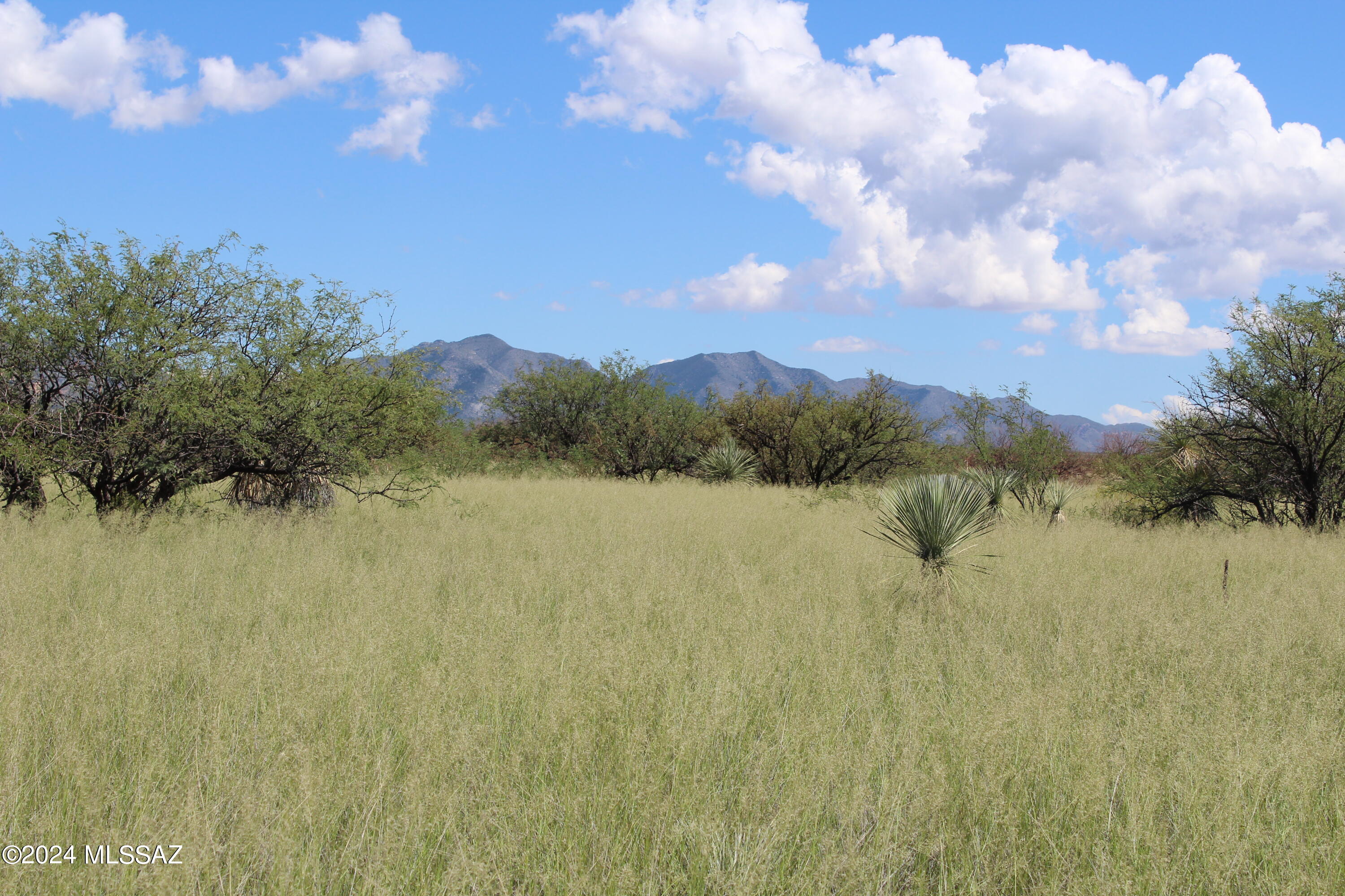 Tbd East Naiche Road, Unit 56 St. David, AZ 85630 - Photo 10 of 17