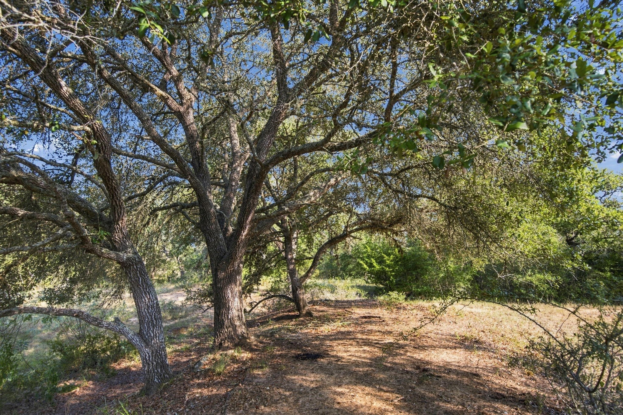 117/ Getty Texaco Road Hallettsville, TX 77964 - Photo 15 of 24 Gallery Image 15