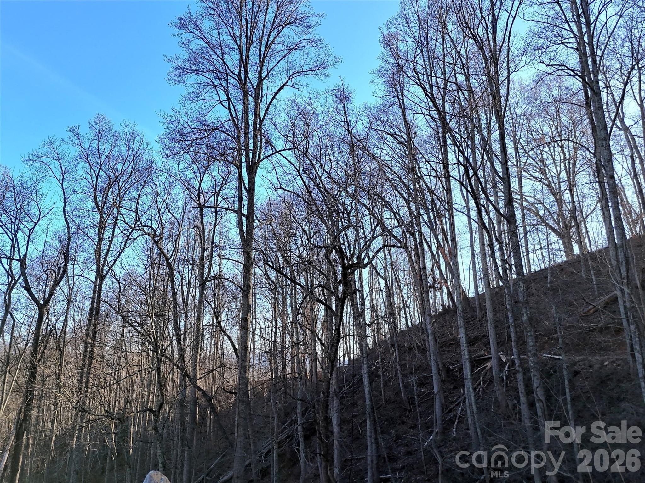 672 Porters Ridge Canton, NC 28716 - Photo 7 of 18