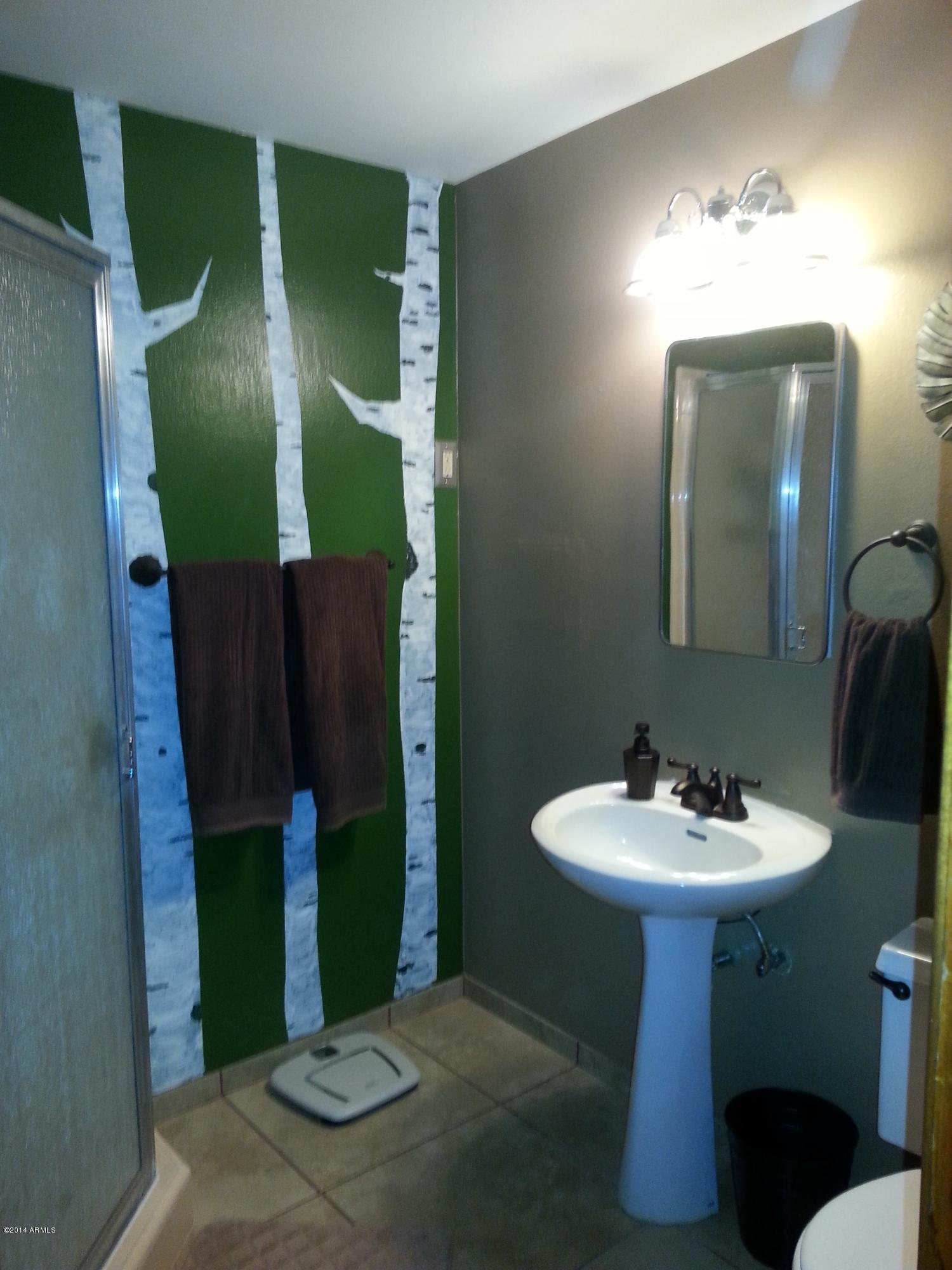 3337 East Granada Road Phoenix, AZ 85008 - Photo 9 of 22 a bathroom with a sink toilet and mirror
