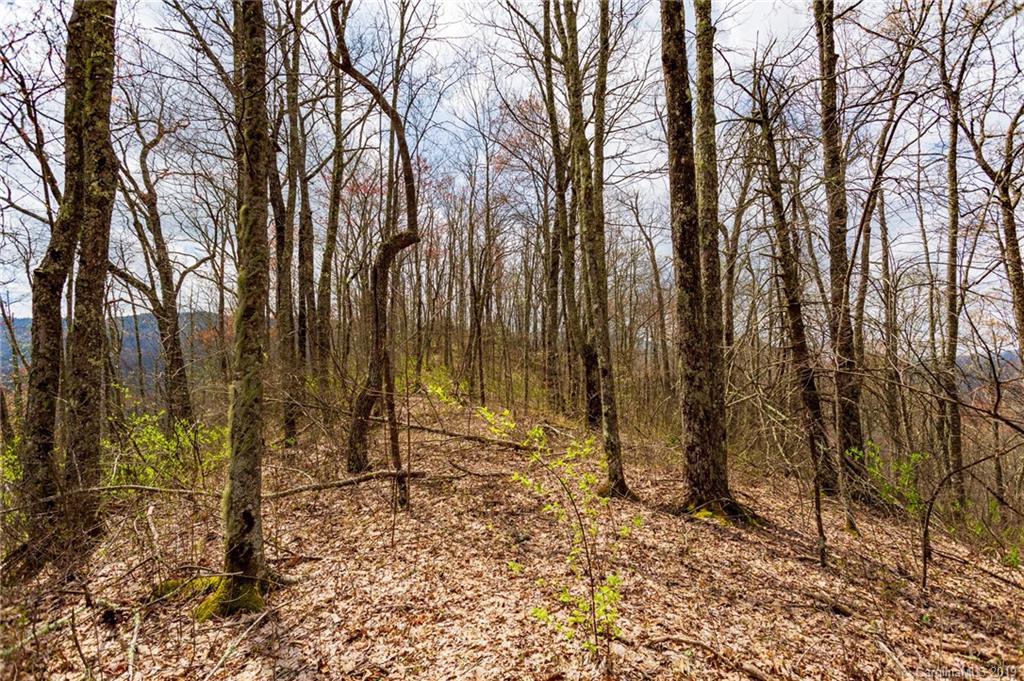 27 Black Rock Road, Unit 27 Cherokee, NC 28719 - Photo 1 of 21 Gallery Image 1